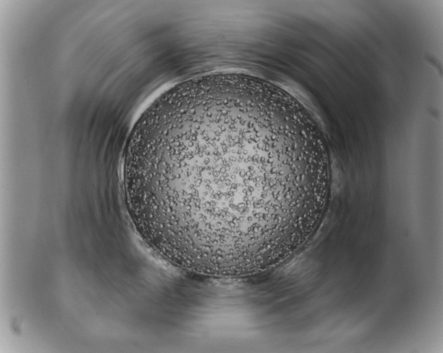 X0000101951198200808011039