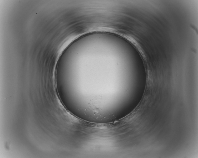 X0000101951199200808011039