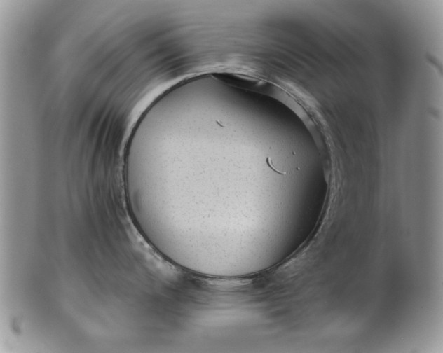 X0000101951200200808011039