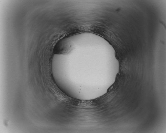 X0000101951201200808011038