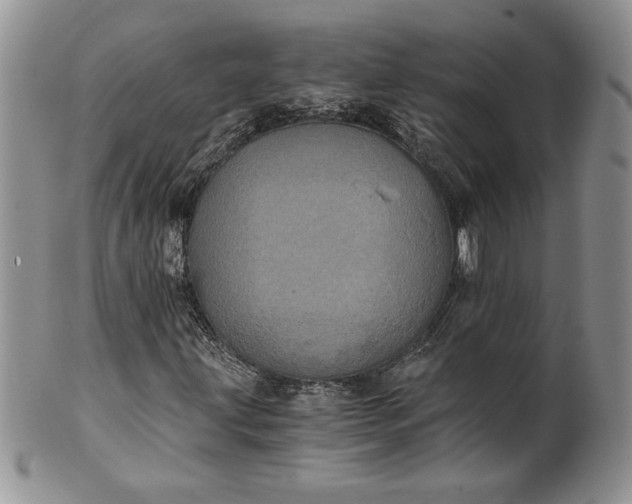 X0000101951203200808011038