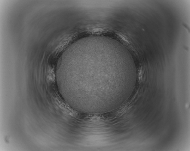 X0000101951204200808011038