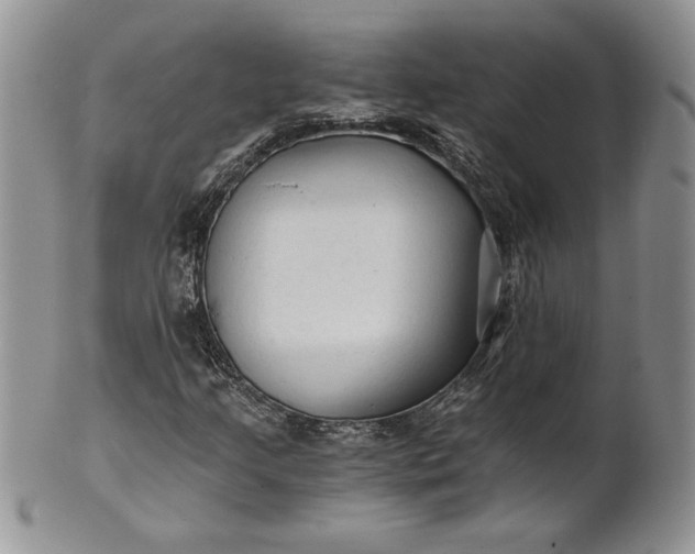 X0000101951205200808011038