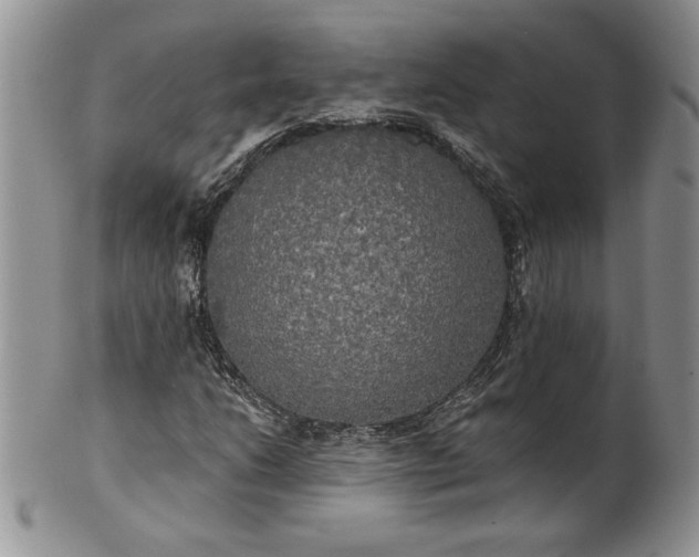 X0000101951206200808011038