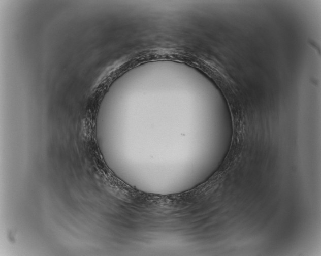 X0000101951207200808011038