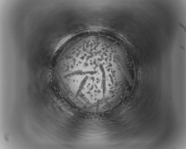 X0000101951208200808011038