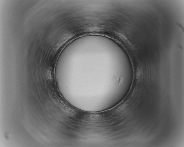 X0000101951209200808011038