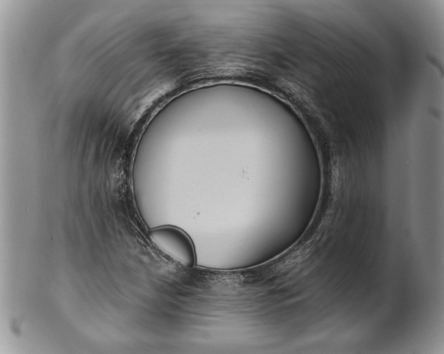 X0000101951210200808011038