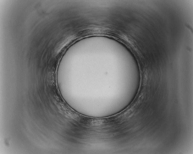 X0000101951211200808011038