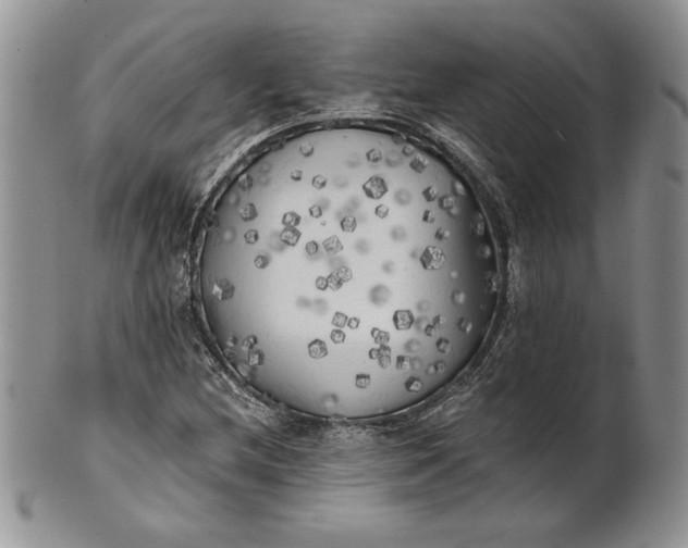 X0000101951212200808011038