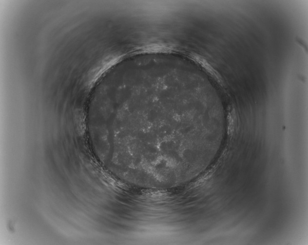 X0000101951213200808011038