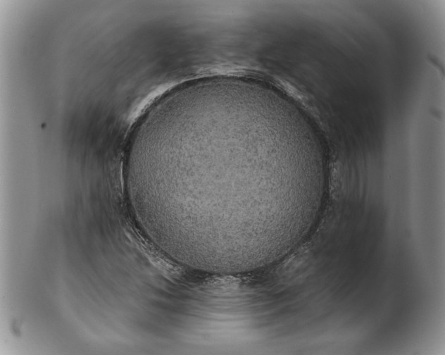 X0000101951214200808011038