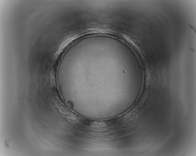 X0000101951215200808011038