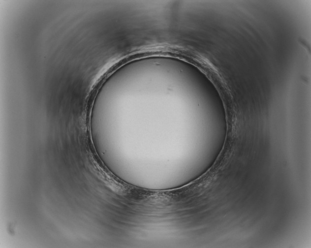 X0000101951216200808011038