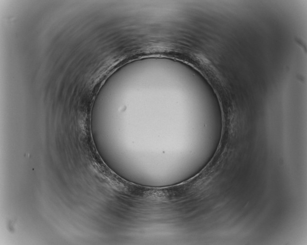 X0000101951217200808011038