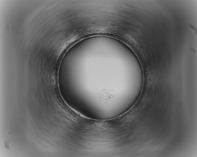 X0000101951218200808011038