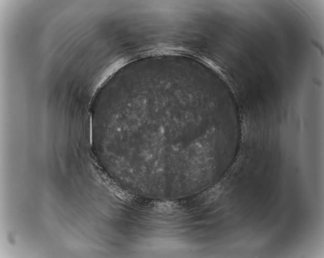 X0000101951219200808011038