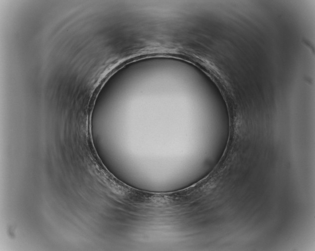 X0000101951220200808011038