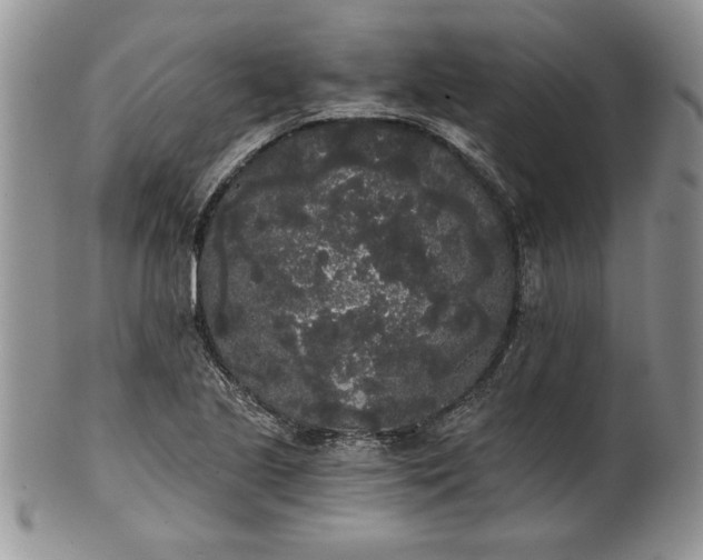 X0000101951221200808011038