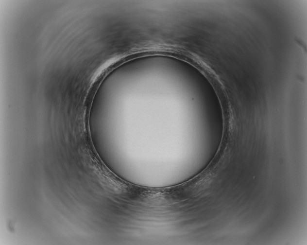 X0000101951222200808011038