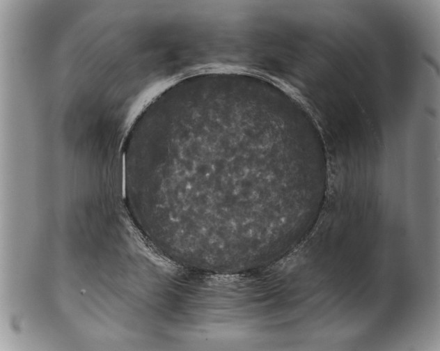 X0000101951223200808011038