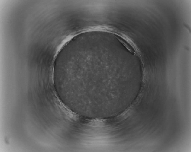 X0000101951224200808011038