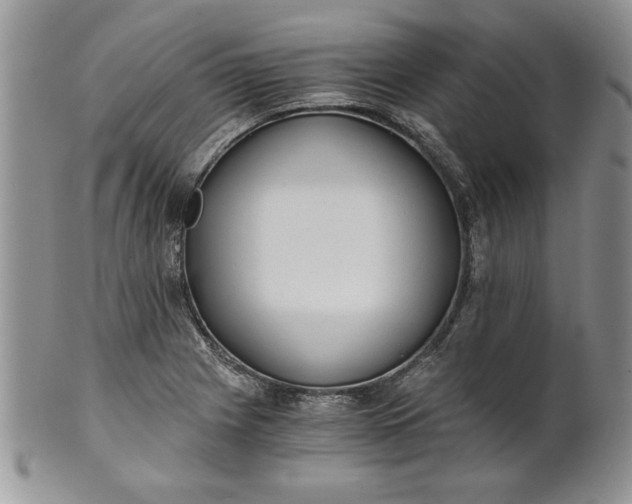 X0000101951225200808011038