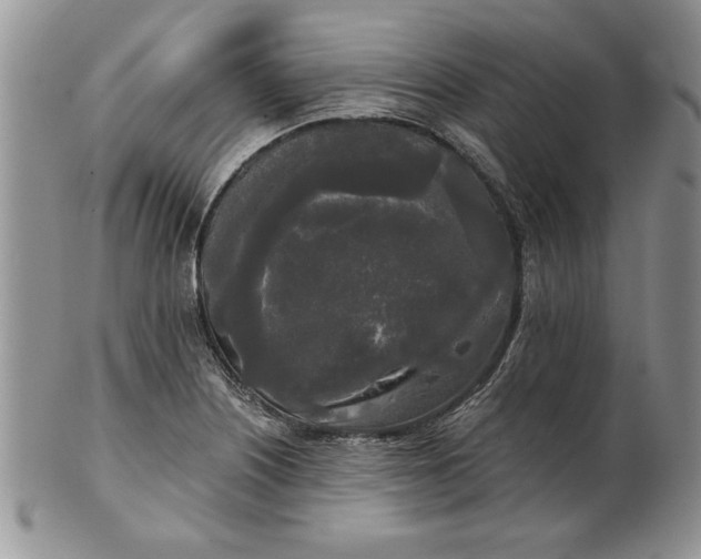 X0000101951226200808011038