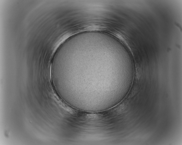 X0000101951227200808011038