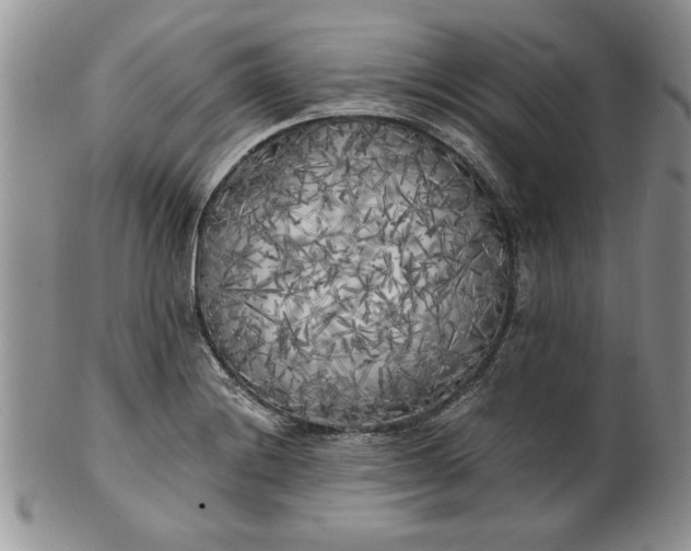 X0000101951228200808011038