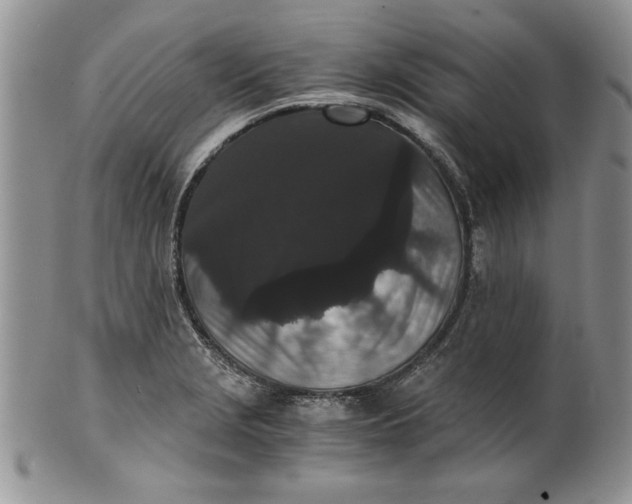 X0000101951229200808011038