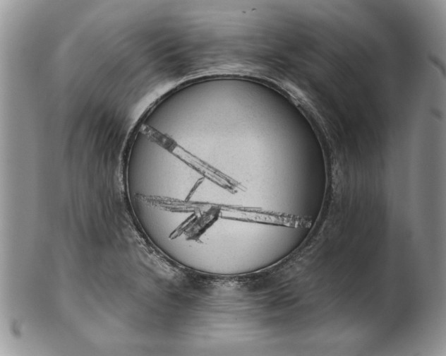 X0000101951230200808011038