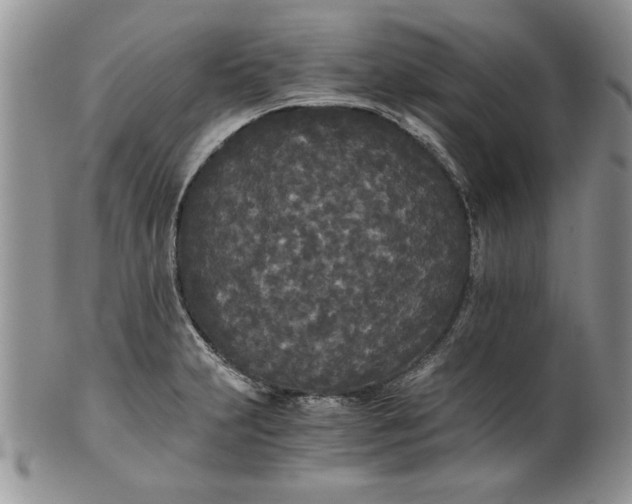 X0000101951231200808011038