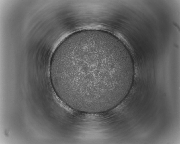 X0000101951232200808011038