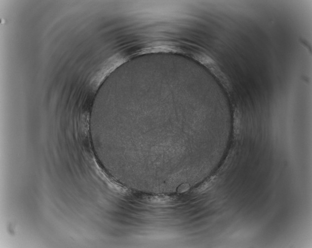 X0000101951233200808011038