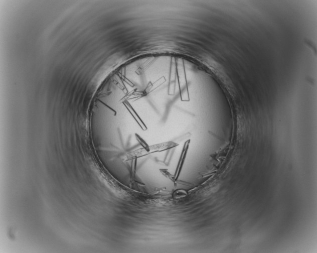 X0000101951234200808011038