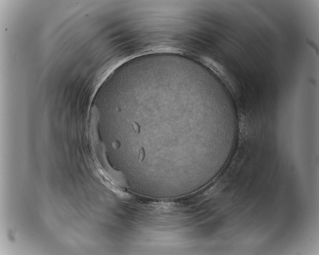 X0000101951236200808011038