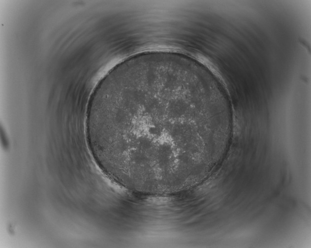 X0000101951237200808011038