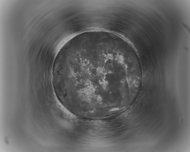 X0000101951239200808011038