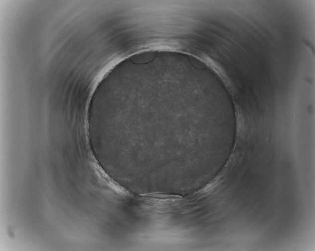 X0000101951240200808011038