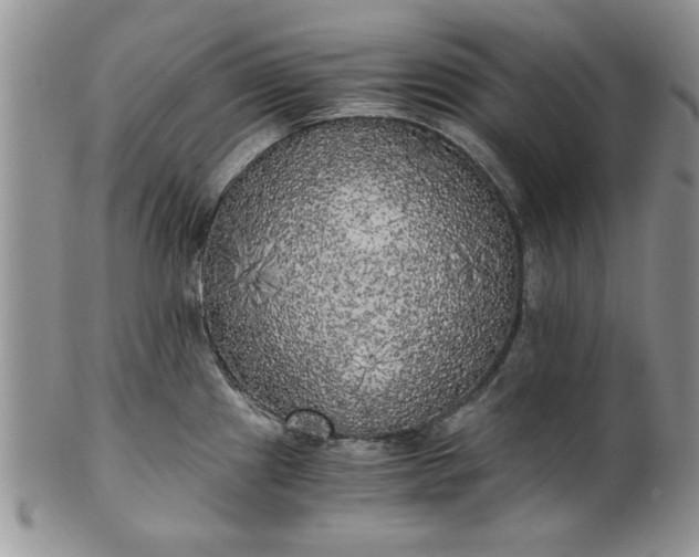 X0000101951241200808011038