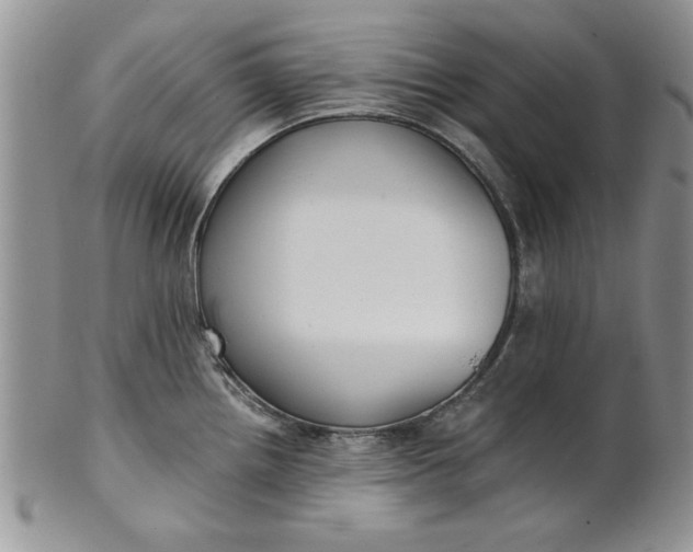 X0000101951242200808011038