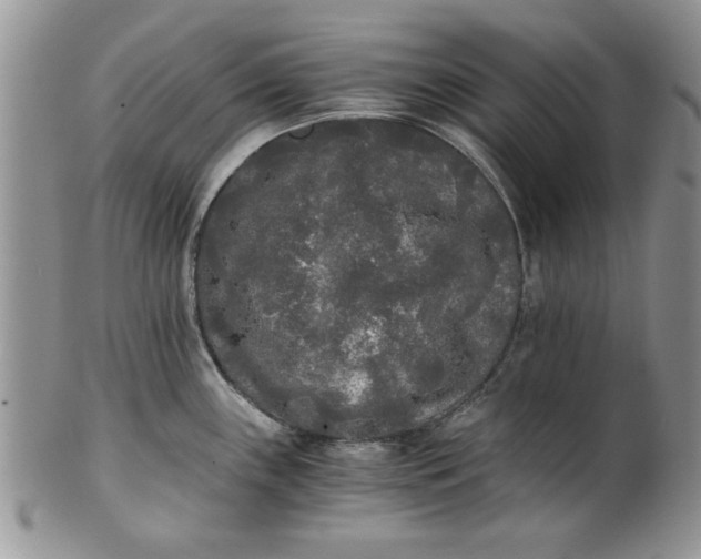 X0000101951243200808011038