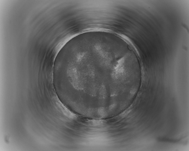 X0000101951244200808011038