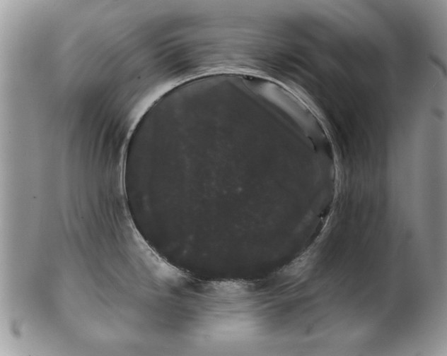 X0000101951246200808011039