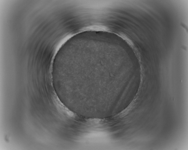 X0000101951248200808011039