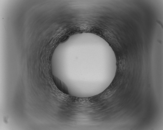 X0000101951249200808011038