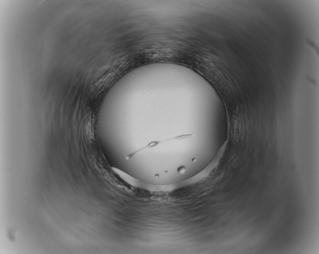 X0000101951250200808011038