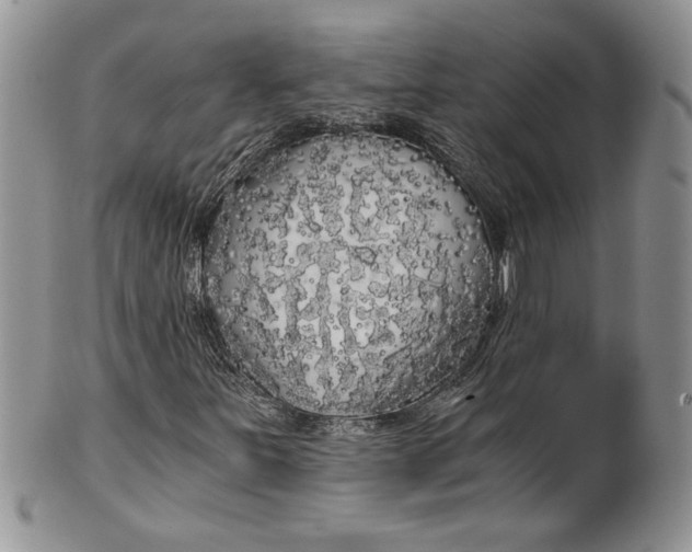 X0000101951251200808011038