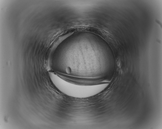 X0000101951252200808011038